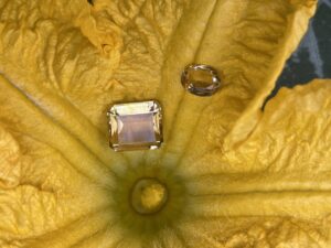 Chroomgeel van een bloem in edelstenen